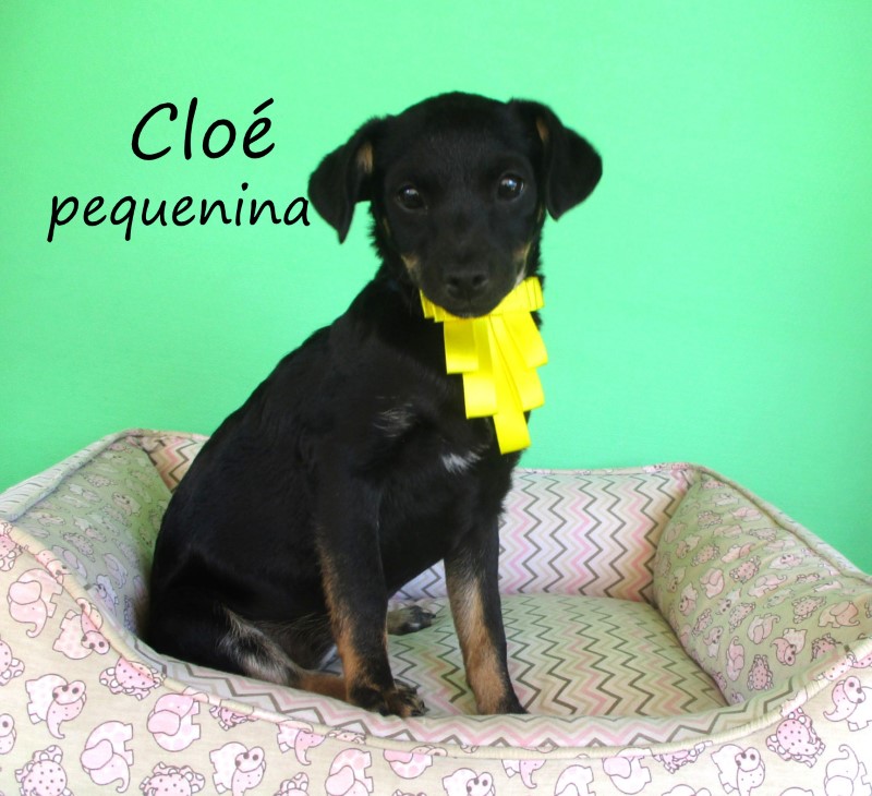 Cloé