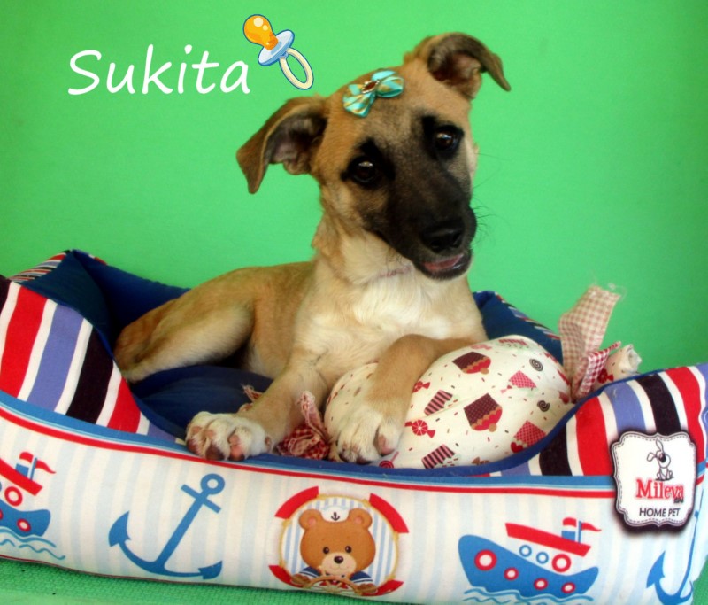 Sukita